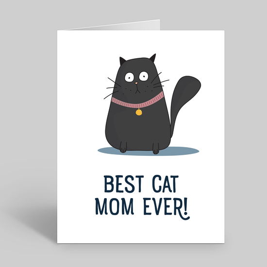Best cat mom ever