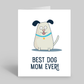 Best dog mom ever