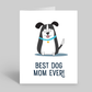 Best dog mom ever