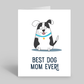 Best dog mom ever