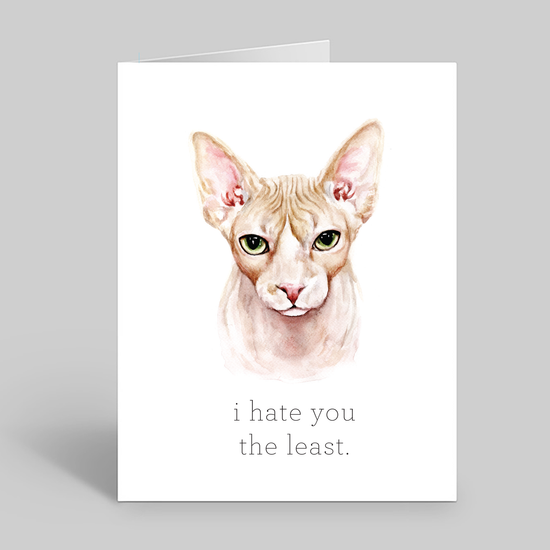I hate you the least