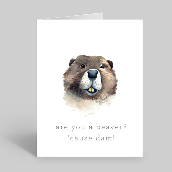 Are you a beaver?