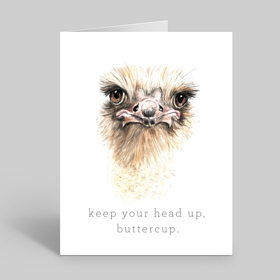 Keep your head up buttercup